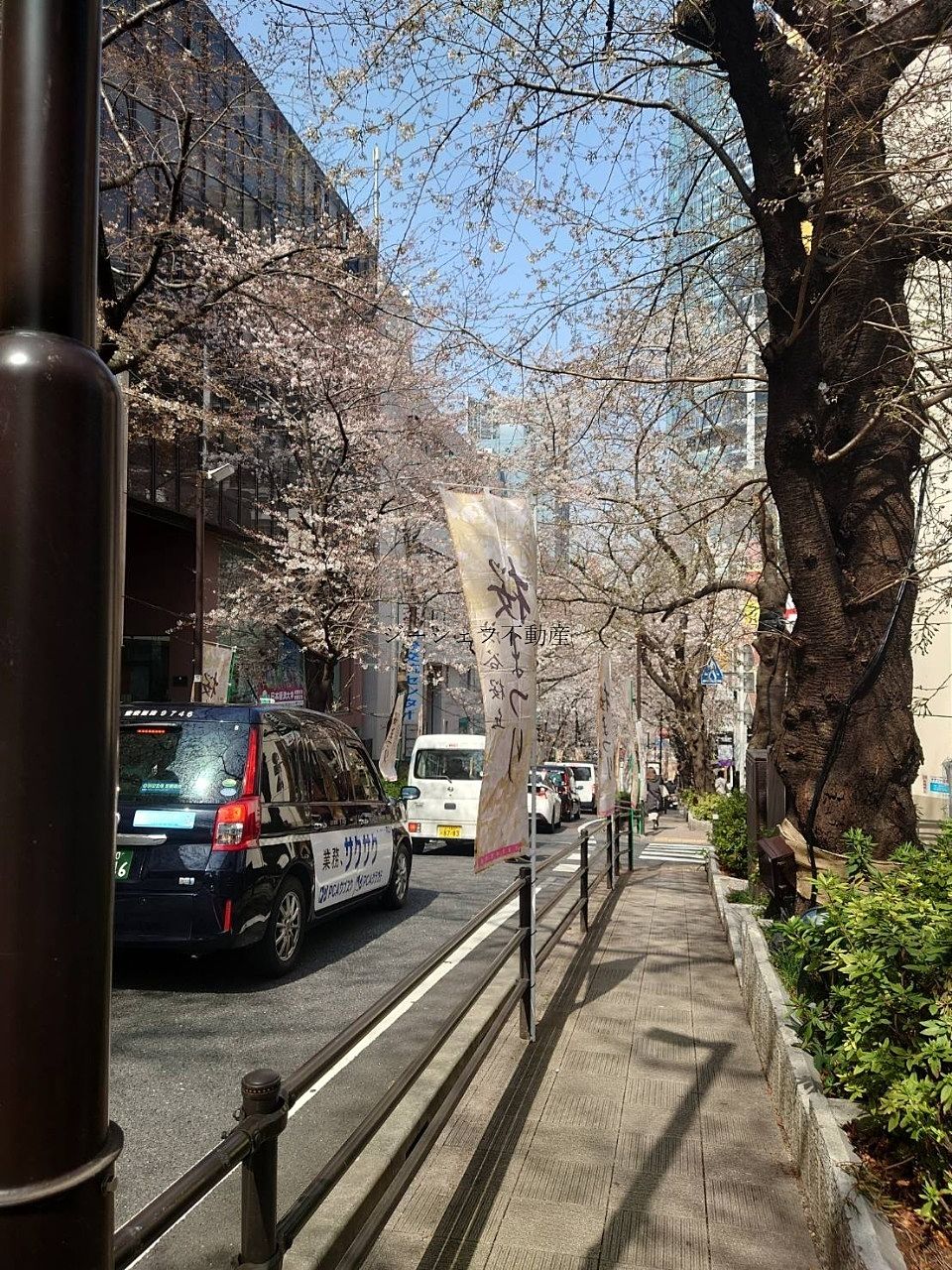 さくら坂は桜のトンネルになっています